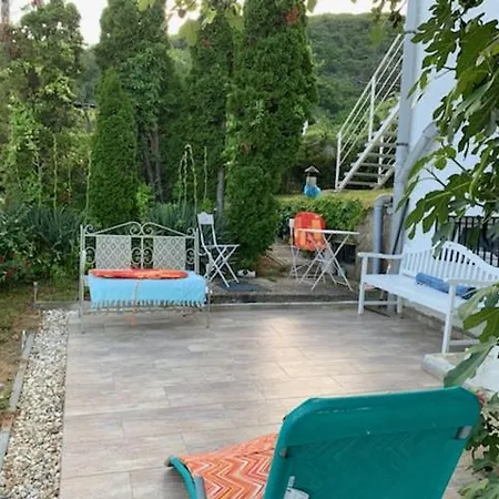 Sunny's Panoramic