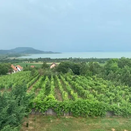 Tatil Evi Sunny's Panoramic Balatonederics
